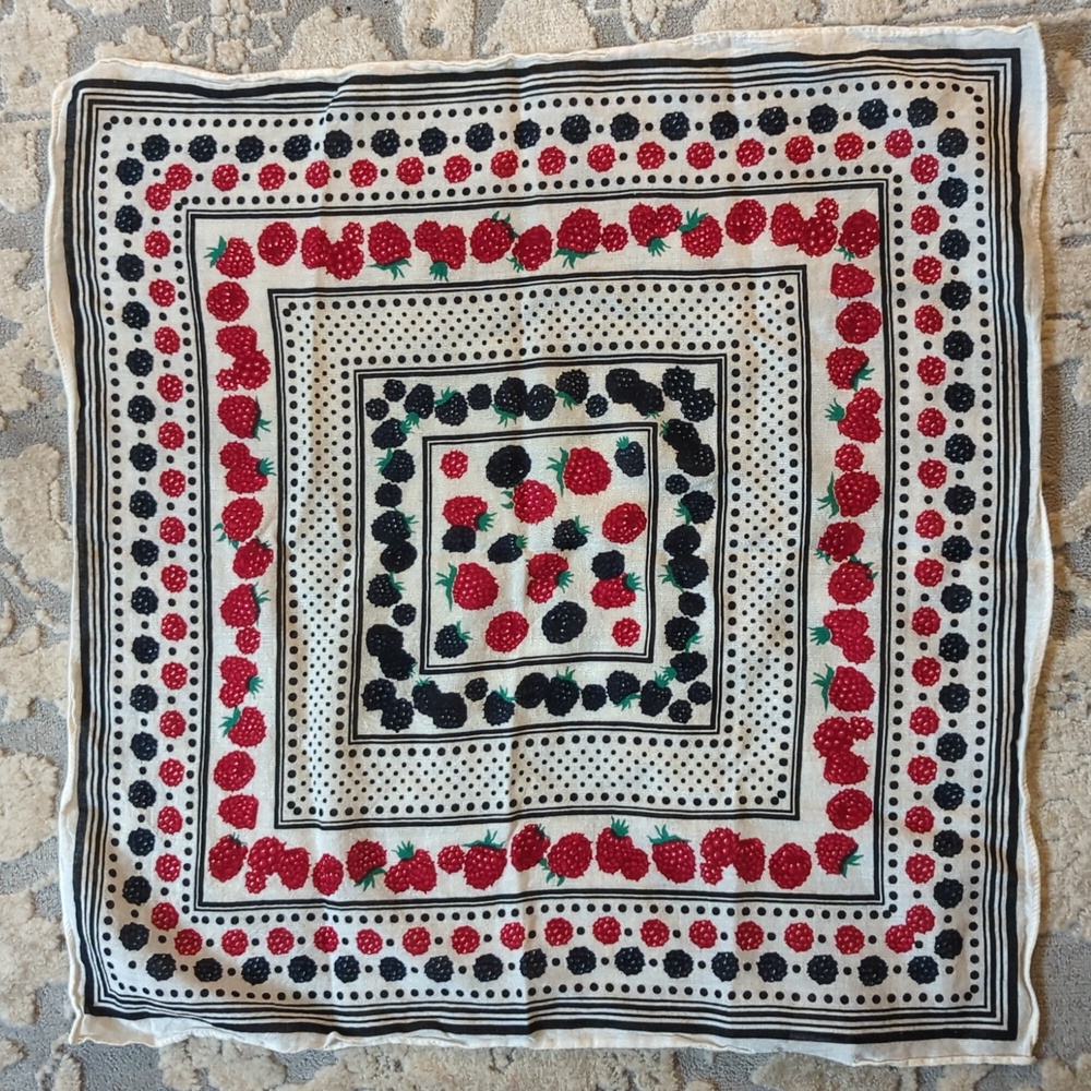 JCrew raspberry blackberry scarf